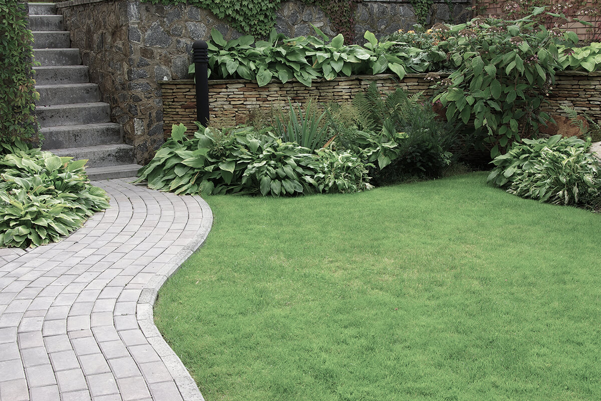 Welcome to JDW Landscaping